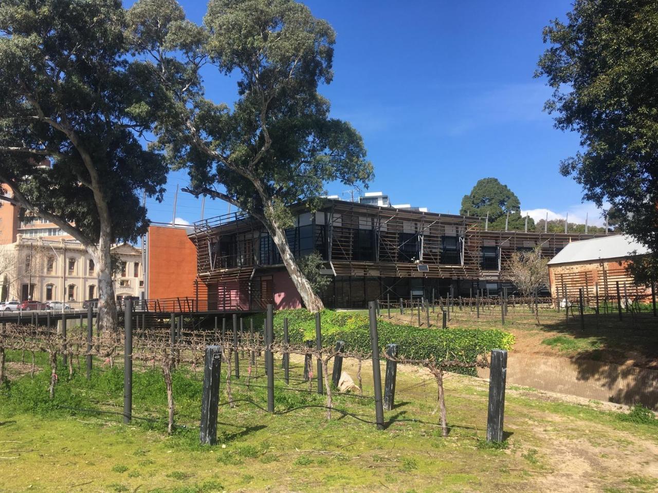 Adelaide Style Accommodation-Close To City-North Adelaide-3 Bdrm- Free Parking Buitenkant foto